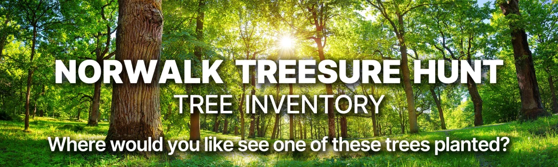 //courvillenursery.com/wp-content/uploads/Treesure_Hunt_header.webp